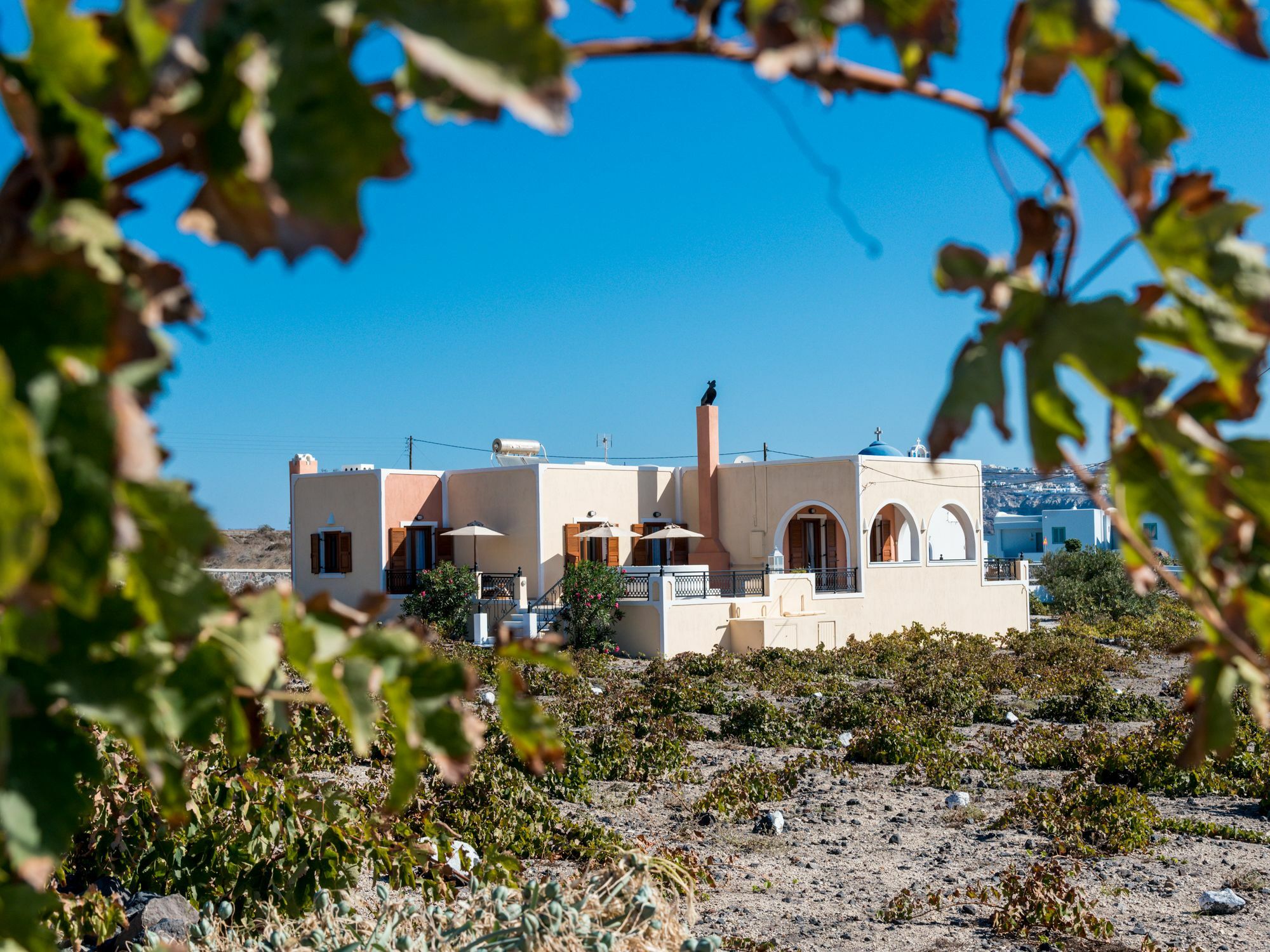 Vineyard Exclusive Suites Akrotiri  Exterior photo
